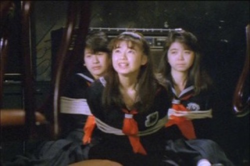 PDVD_332.jpg