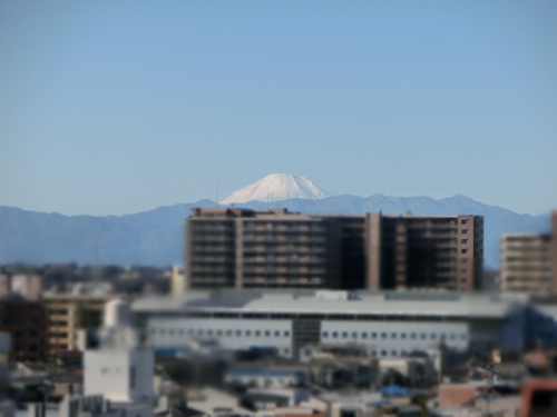 屋上から富士山.jpg