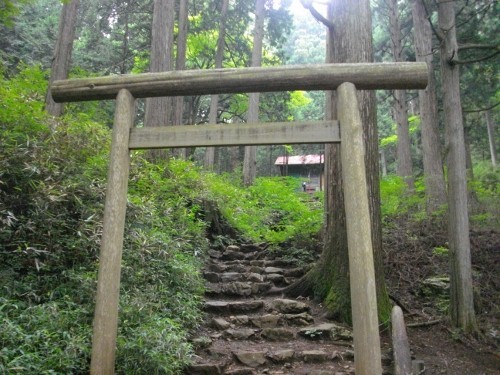 大岳山大岳神社 (500x375).jpg