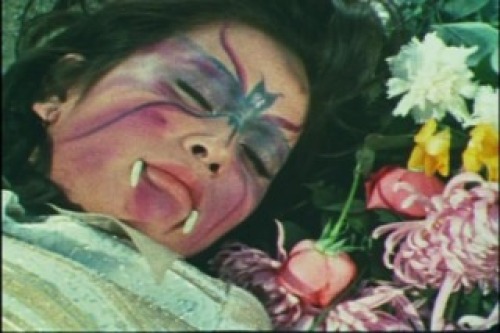 PDVD_008.jpg