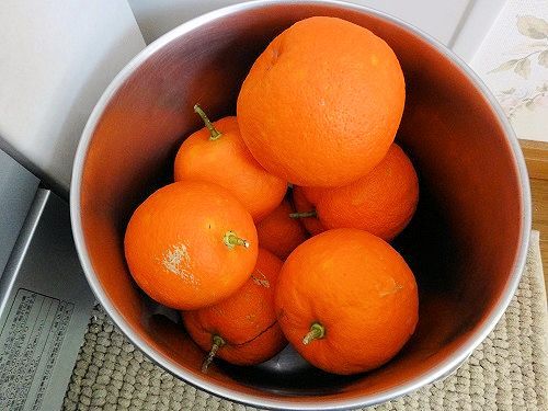 2016-03-28 10.32.57.jpg