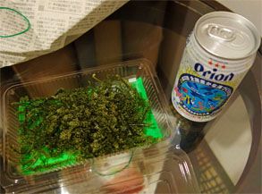 沖縄255.jpg
