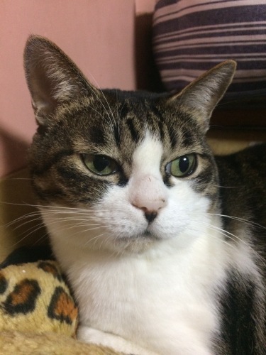 IMG_0754 - コピー.JPG