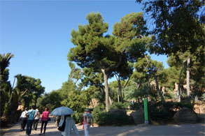スペイン851.jpg