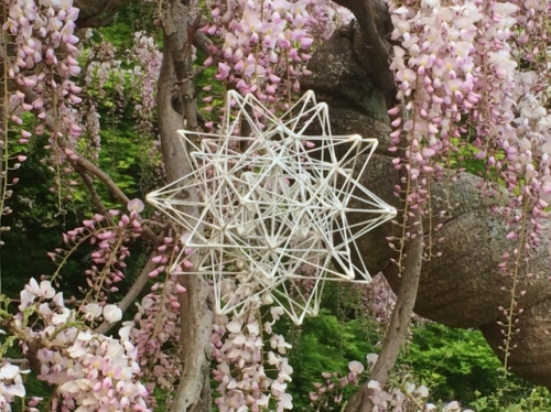 IMG_8938 (640x479).jpg