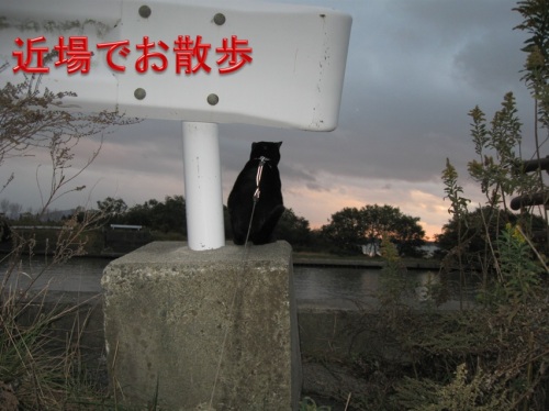 チャン3.jpg