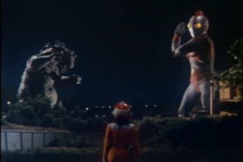 PDVD_022.jpg