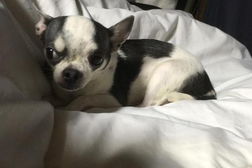 20170205 自室にて.jpg