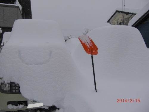 CIMG7119 (640x480).jpg