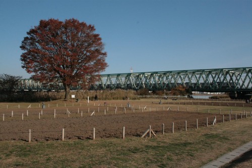 Sobu Line bridge crossing Arakawa and Nakagawa rivers