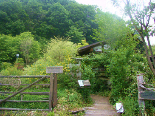 DSCF8329.jpg