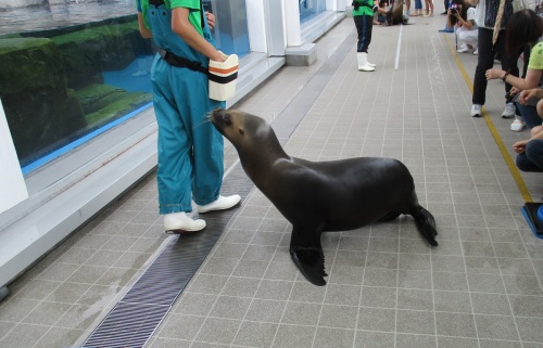 仙台うみの杜水族館