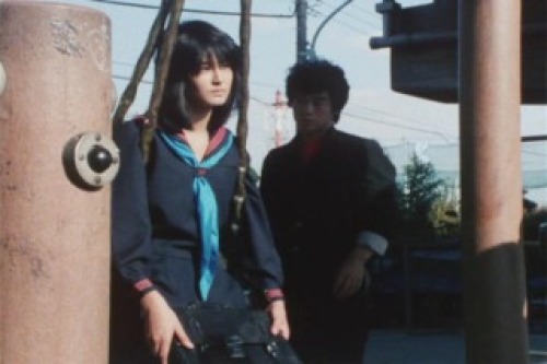 PDVD_001.jpg