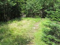 IMG_7793_R.JPG