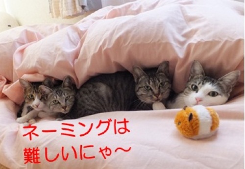 20121210_5.jpg