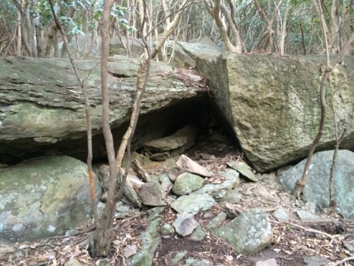 IMG_5254 (640x480).jpg