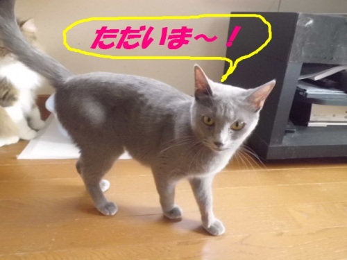 CIMG6870.JPG