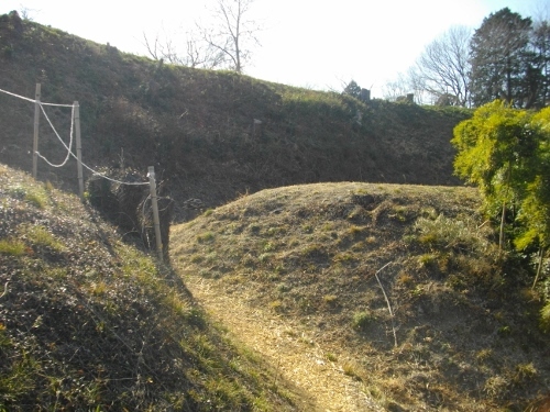 杉山城本丸土塁 (2) (500x375).jpg