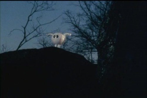 PDVD_001.jpg