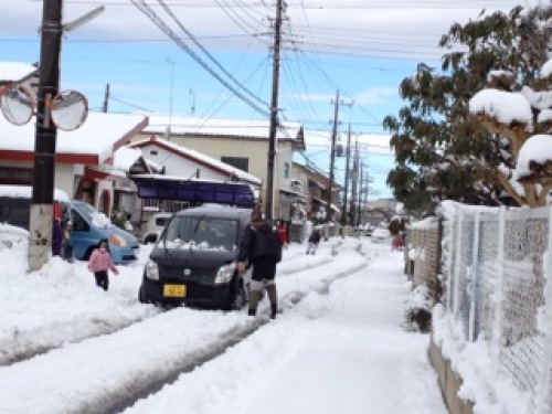 雪の朝3.jpg