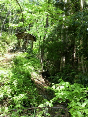 201304281035001.jpg