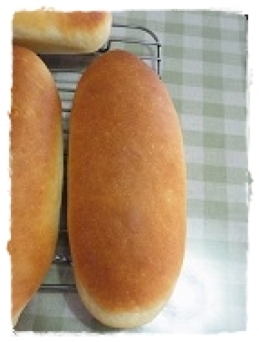 pan08222.jpg