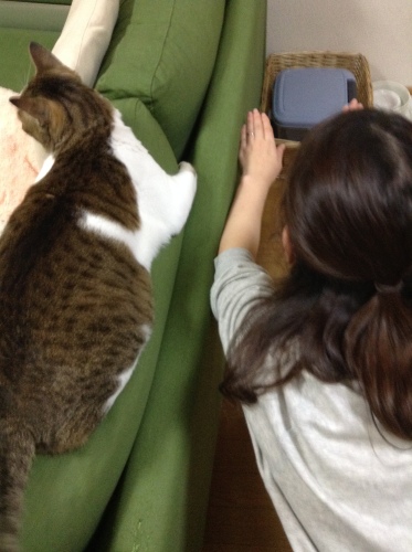 201411291443_3749_iphone.jpg