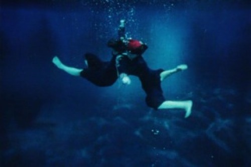 PDVD_031.jpg