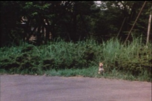 PDVD_014.jpg