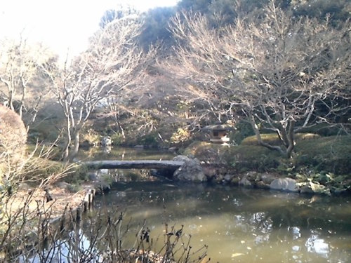 20140111_池田山公園_池.jpg