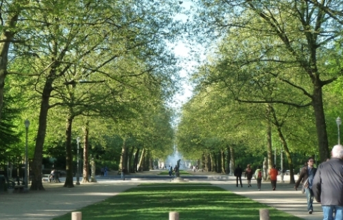 pict-ブリュッセル王宮 8.jpg