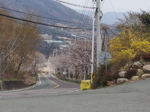 20130330_122619.jpg