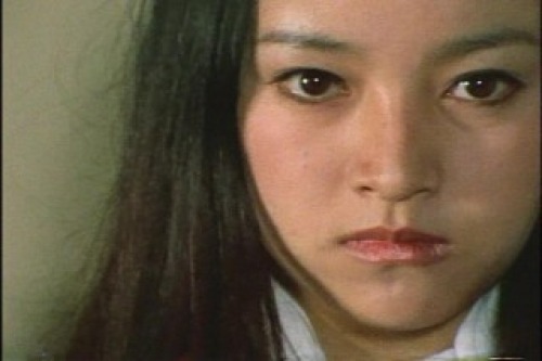 PDVD_033.jpg