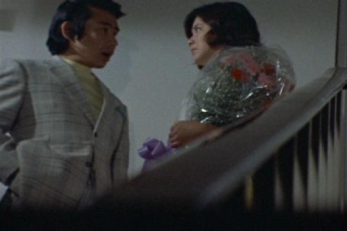 PDVD_015.jpg