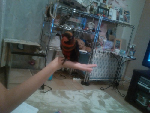 3 メイでーす♪.JPG