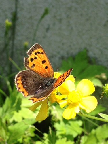 201405061510_2435_iphone.jpg