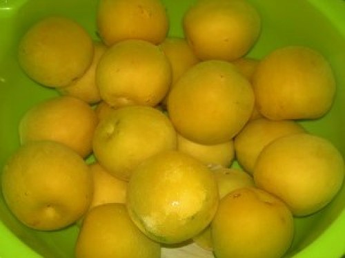 DSCN8945 (300x225).jpg