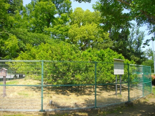 駿府城本丸家康手植えのみかん.JPG