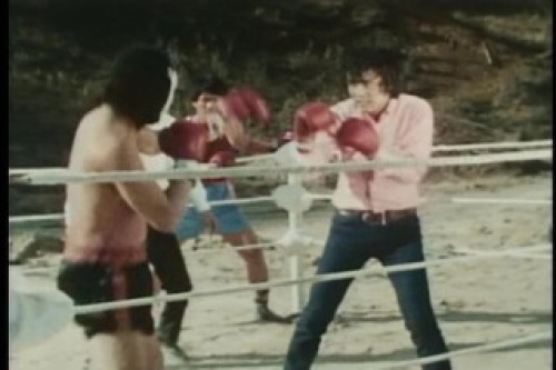 PDVD_060.jpg