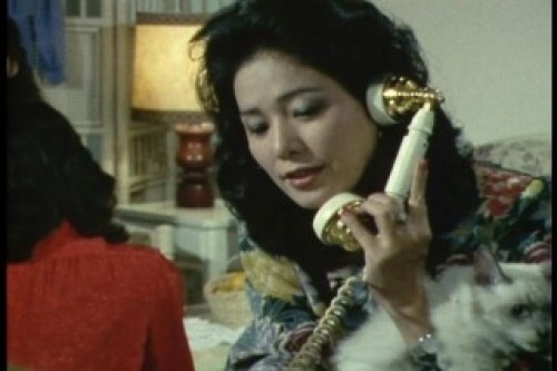 PDVD_014.jpg