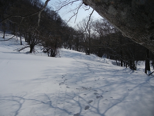 20140201雪道３.jpg