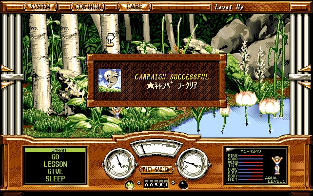 ピクシーガーデン Pixy Garden NEC HD専用 レトロゲーム ピクシーガーデン Pixy Garden NEC HD専用 レトロゲーム