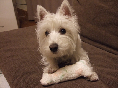 20100418.jpg