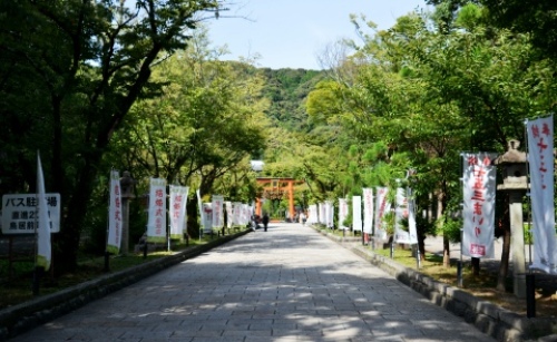 pict-松尾大社 4.jpg