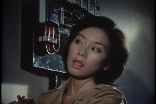 PDVD_034.jpg