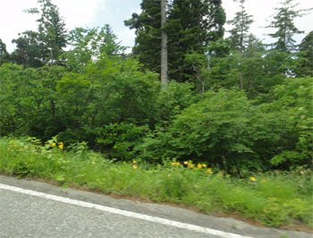 立山18.jpg