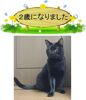 2才.jpg