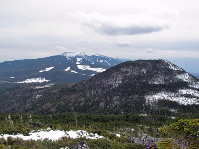 Shirakoma09.JPG