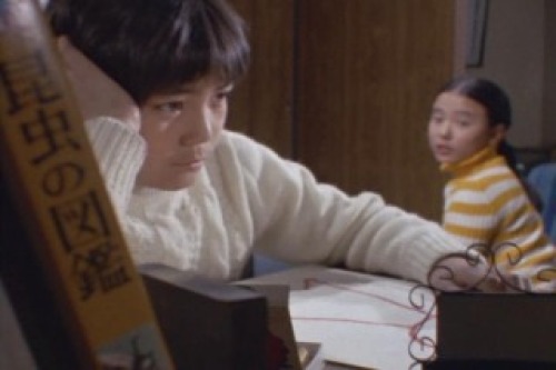 PDVD_003.jpg