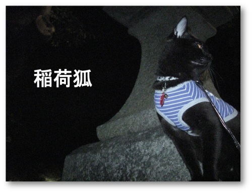 チャン3.jpg